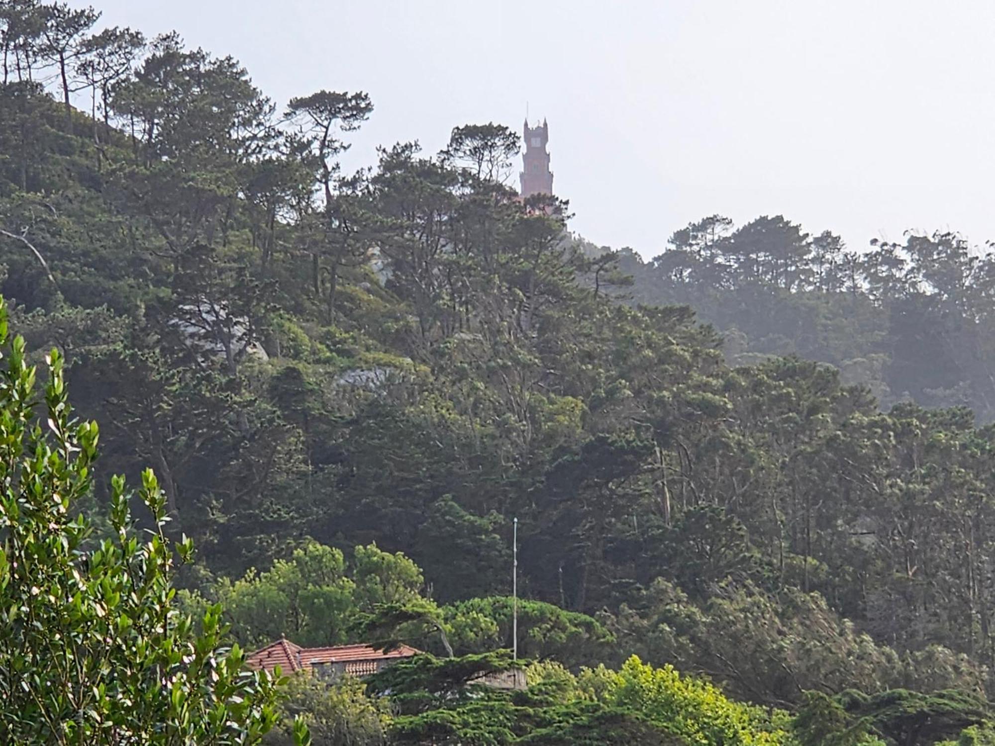 Sintra Chalet Εξωτερικό φωτογραφία